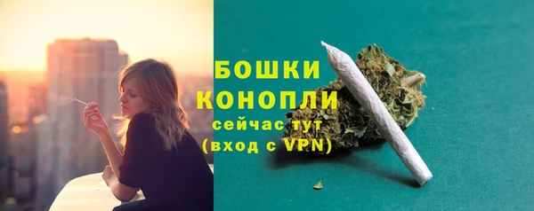 винт Белокуриха