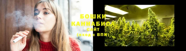 гидра Белоозёрский