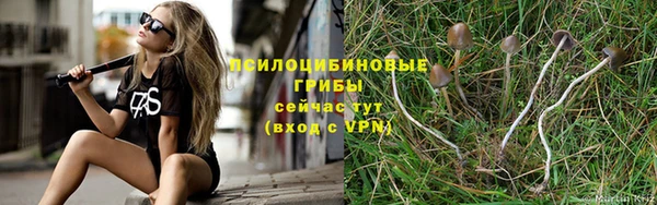 мефедрон Богородицк