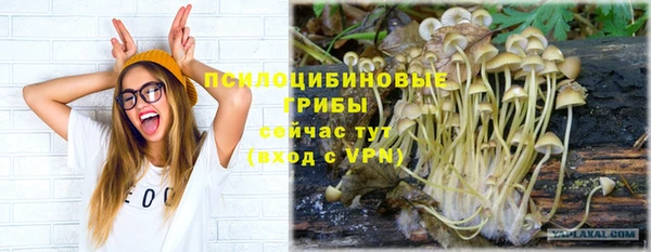 мдпв Богданович